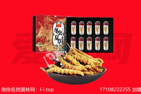 酒泉回收虫草.jpg